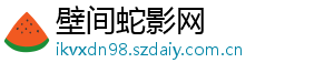 壁间蛇影网